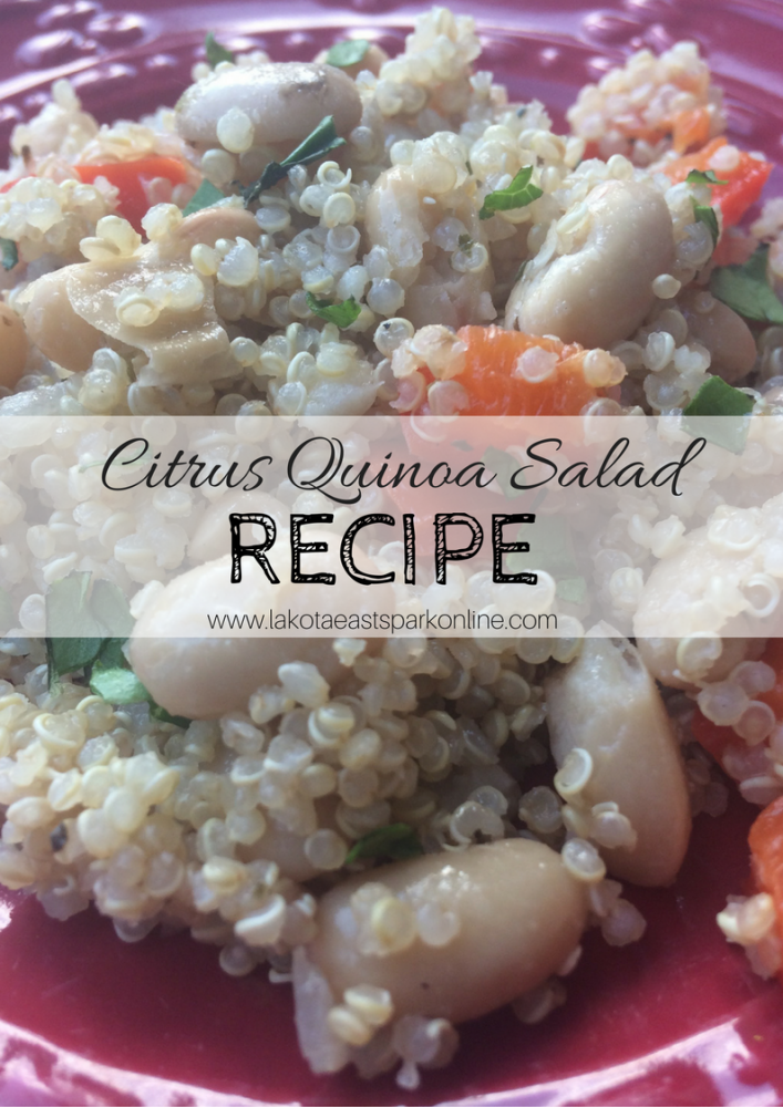 Gabbie Behrman Citrus Quinoa Salad Recipe by Lakota East Spark Online at Lakota East High School Newsmagazine