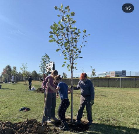 LEAF club members plant a tree during last years annual tree planting event. 