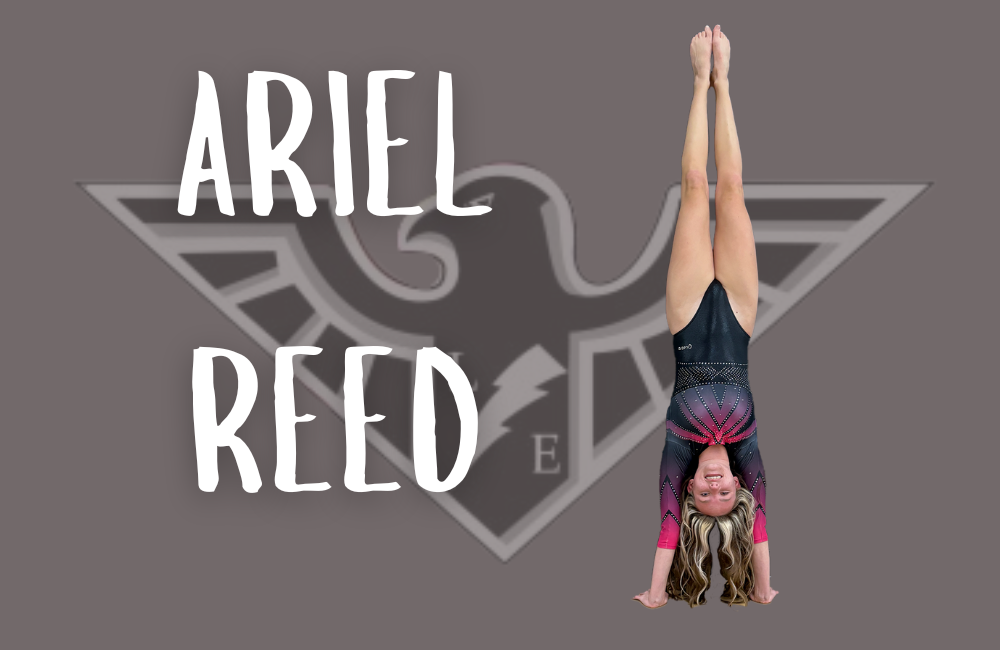 Best in the Nest: Ariel Reed